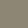 IPath Cats Shoes - Tan Suede