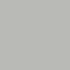 Etnies Sal 23 Shoes - White
